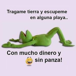 Meet your Posher, Norma